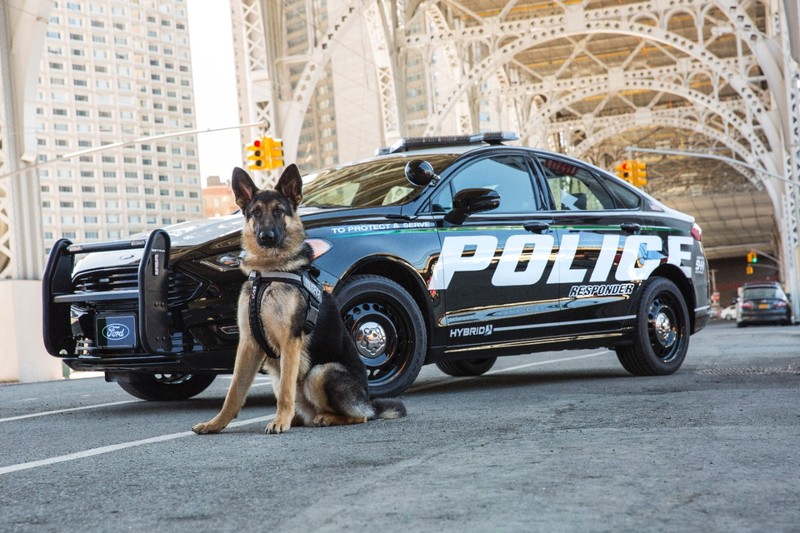 《Ford Police Responder Hybrid Sedan》混動警車處女秀 《Ford Police Responder Hybrid Sedan》混動警車處女秀