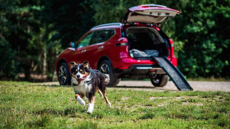 汪星人專屬《Nissan X-Trail》貼心Paw Pack套件英國開賣 汪星人專屬《Nissan X-Trail》貼心Paw Pack套件英國開賣