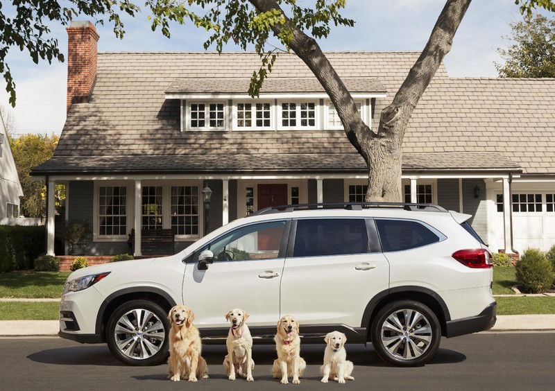 強打《Subaru Ascent》品牌最新廣告影片汪星人當主角 強打《Subaru Ascent》品牌最新廣告影片汪星人當主角