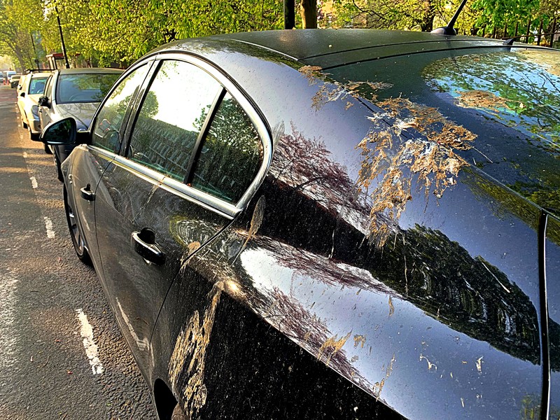 歐洲《Ford》 以人工鳥屎研究對於汽車烤漆的影響 歐洲《Ford》 以人工鳥屎研究對於汽車烤漆的影響